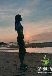 天河新人，豆豆