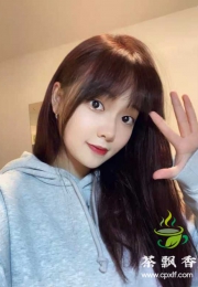 服务天花板的雨欣