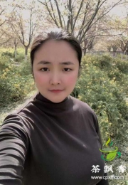 三水小姐姐晴柔