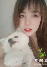 300的性价比超高小姐姐